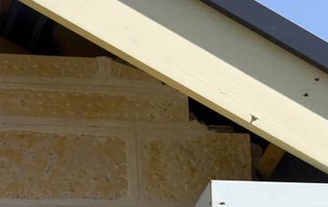 soffit repair Bishop Burton