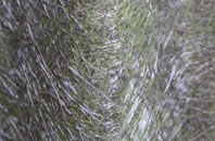 Bishop Burton fibreglass roof work